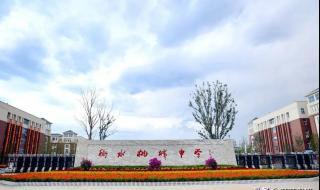 警察通报衡水桃城中学事件